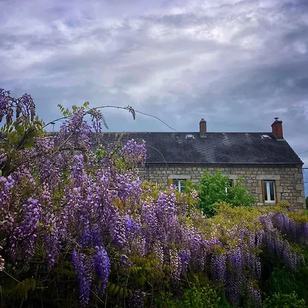 In Groene Oasis Дом отдыха