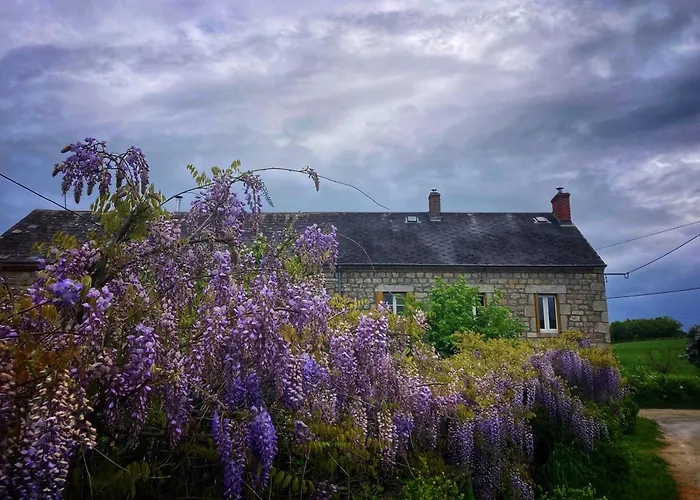 In Groene Oasis Ferienhaus